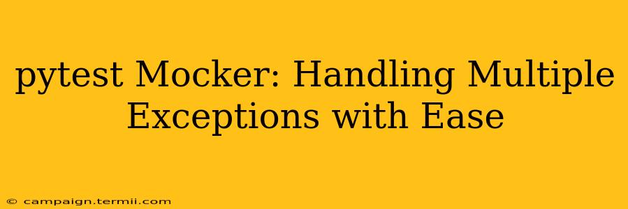 pytest Mocker: Handling Multiple Exceptions with Ease