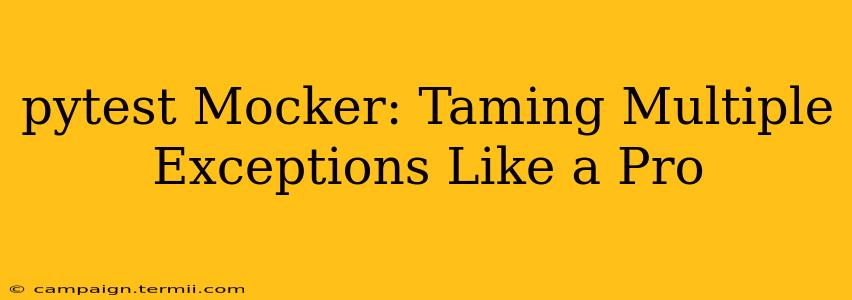 pytest Mocker: Taming Multiple Exceptions Like a Pro