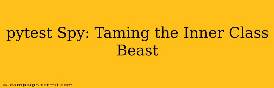 pytest Spy: Taming the Inner Class Beast