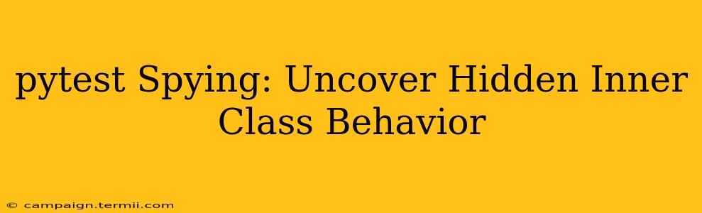 pytest Spying: Uncover Hidden Inner Class Behavior