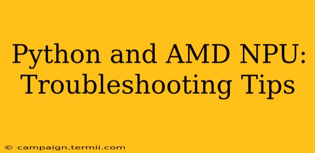 Python and AMD NPU: Troubleshooting Tips