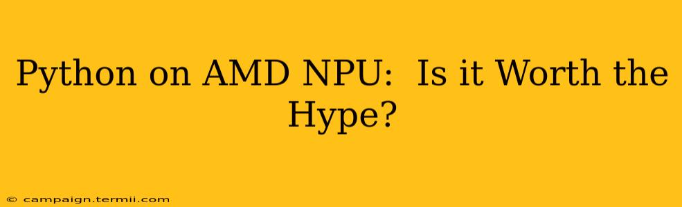 Python on AMD NPU:  Is it Worth the Hype?