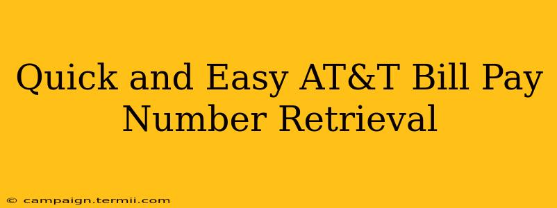 Quick and Easy AT&T Bill Pay Number Retrieval