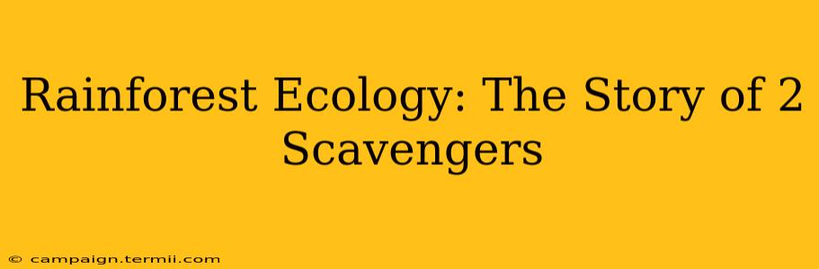 Rainforest Ecology: The Story of 2 Scavengers