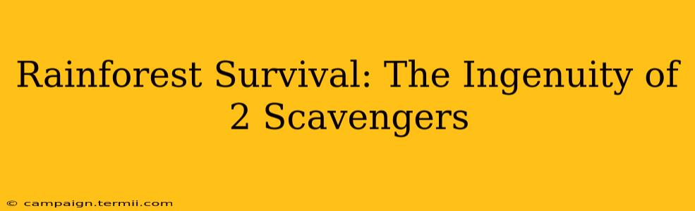 Rainforest Survival: The Ingenuity of 2 Scavengers