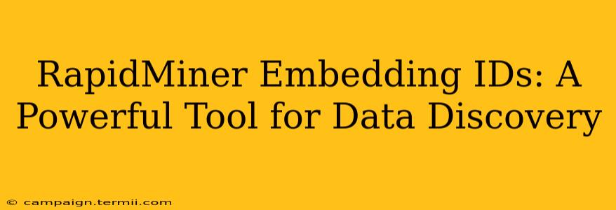 RapidMiner Embedding IDs: A Powerful Tool for Data Discovery