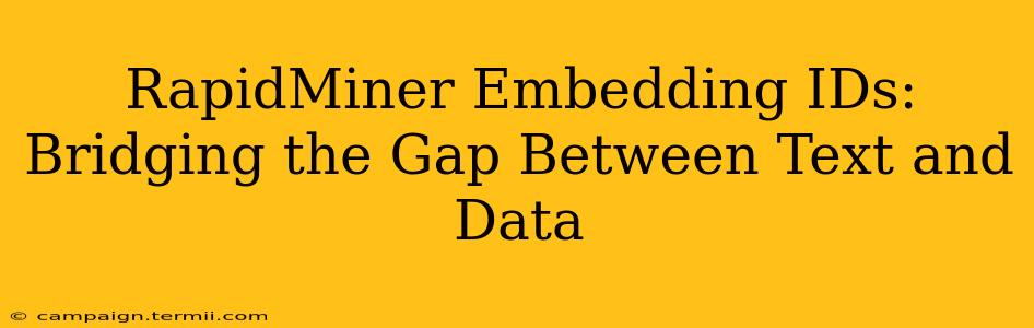 RapidMiner Embedding IDs: Bridging the Gap Between Text and Data