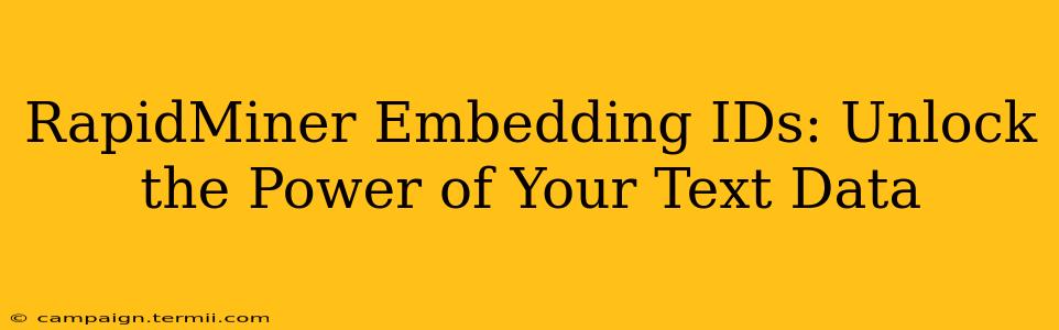 RapidMiner Embedding IDs: Unlock the Power of Your Text Data