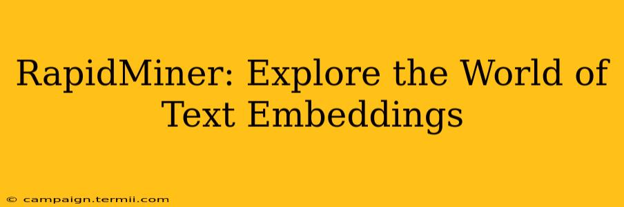 RapidMiner: Explore the World of Text Embeddings