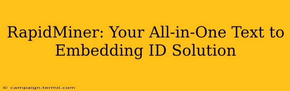 RapidMiner: Your All-in-One Text to Embedding ID Solution