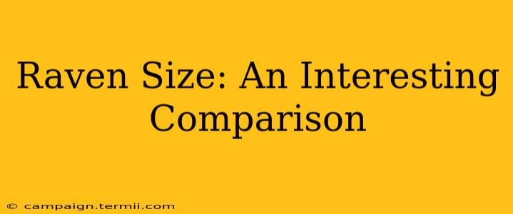 Raven Size: An Interesting Comparison