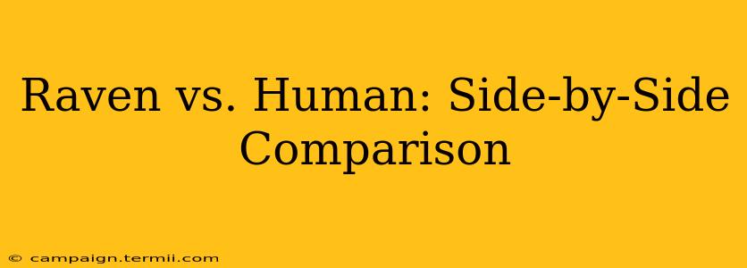 Raven vs. Human: Side-by-Side Comparison