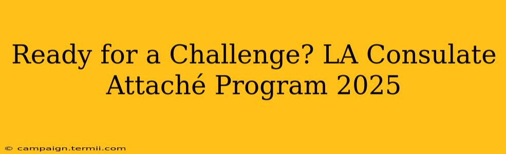 Ready for a Challenge? LA Consulate Attaché Program 2025