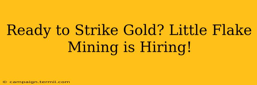 Ready to Strike Gold? Little Flake Mining is Hiring!