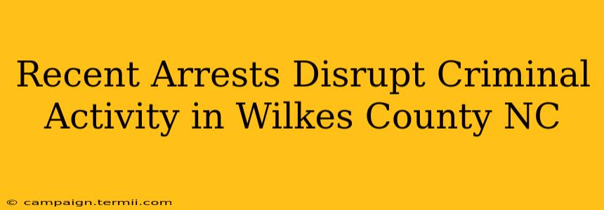 Recent Arrests Disrupt Criminal Activity in Wilkes County NC