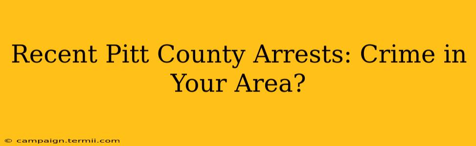 Recent Pitt County Arrests: Crime in Your Area?