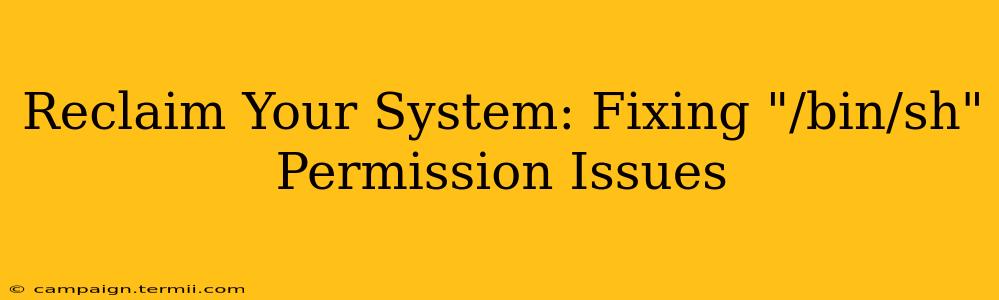 Reclaim Your System: Fixing "/bin/sh" Permission Issues