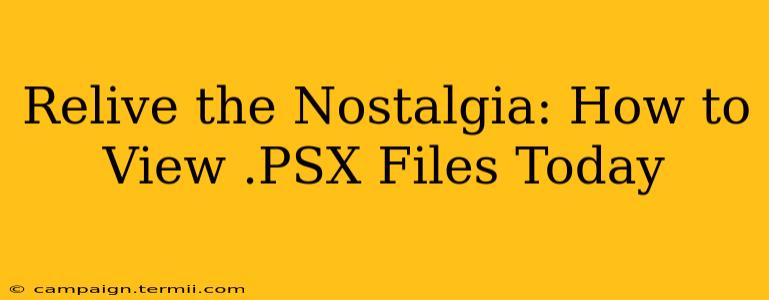 Relive the Nostalgia: How to View .PSX Files Today