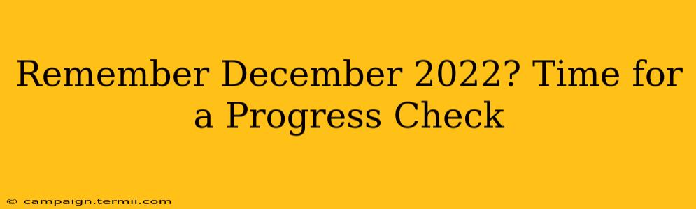 Remember December 2022? Time for a Progress Check