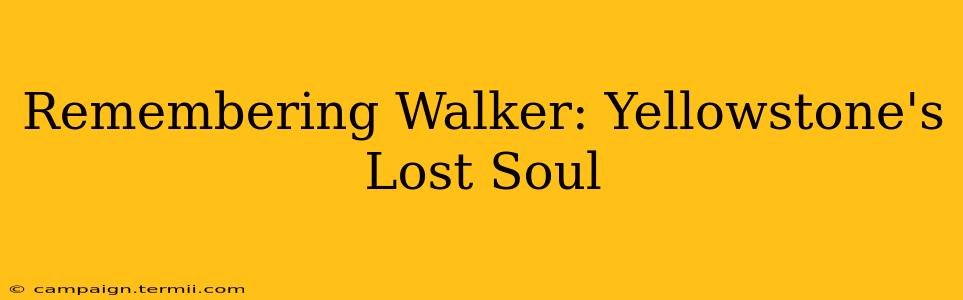 Remembering Walker: Yellowstone's Lost Soul