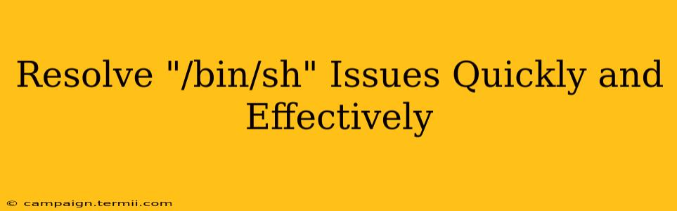 Resolve "/bin/sh" Issues Quickly and Effectively