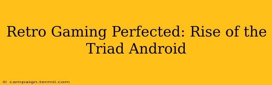 Retro Gaming Perfected: Rise of the Triad Android