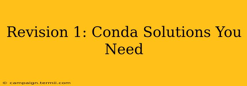 Revision 1: Conda Solutions You Need