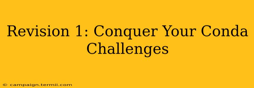 Revision 1: Conquer Your Conda Challenges