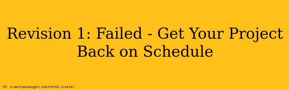 Revision 1: Failed - Get Your Project Back on Schedule