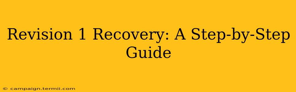 Revision 1 Recovery: A Step-by-Step Guide