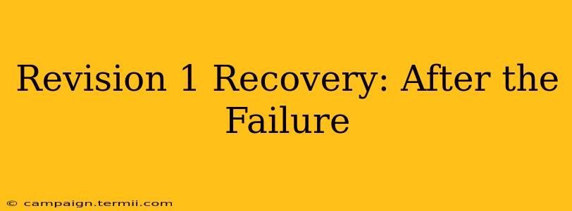 Revision 1 Recovery: After the Failure