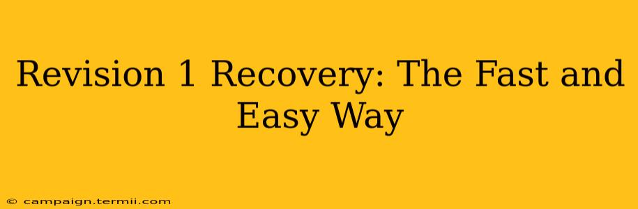 Revision 1 Recovery: The Fast and Easy Way