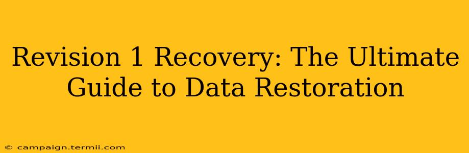 Revision 1 Recovery: The Ultimate Guide to Data Restoration