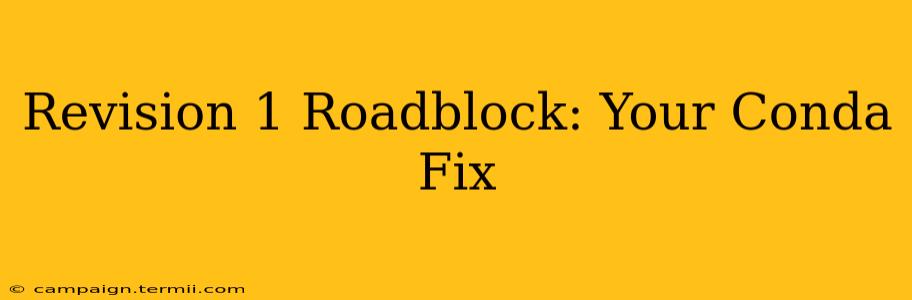 Revision 1 Roadblock: Your Conda Fix