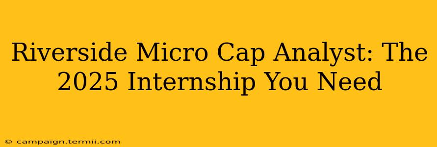 Riverside Micro Cap Analyst: The 2025 Internship You Need