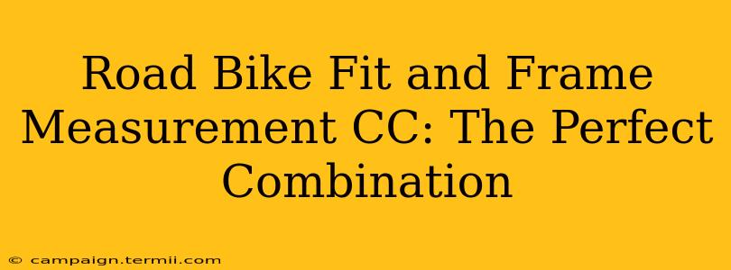 Road Bike Fit and Frame Measurement CC: The Perfect Combination