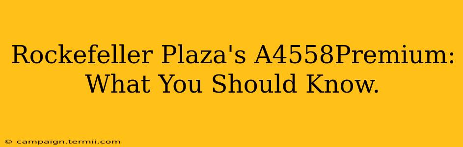 Rockefeller Plaza's A4558Premium:  What You Should Know.