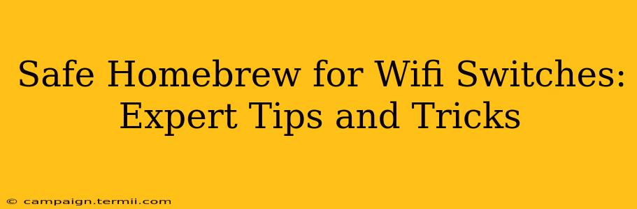 Safe Homebrew for Wifi Switches: Expert Tips and Tricks