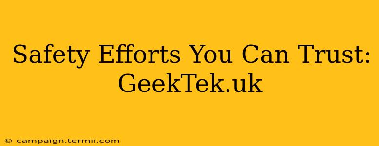 Safety Efforts You Can Trust: GeekTek.uk