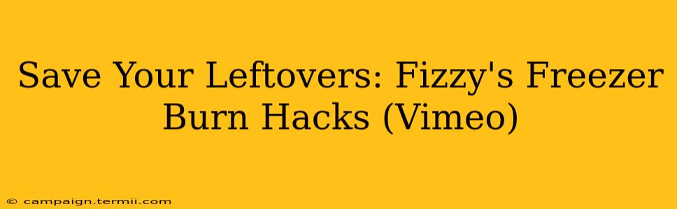 Save Your Leftovers: Fizzy's Freezer Burn Hacks (Vimeo)