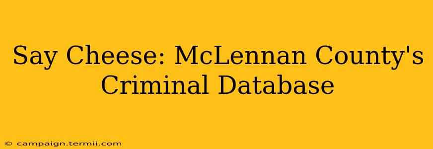 Say Cheese: McLennan County's Criminal Database