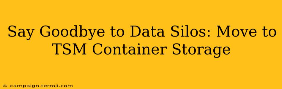 Say Goodbye to Data Silos: Move to TSM Container Storage