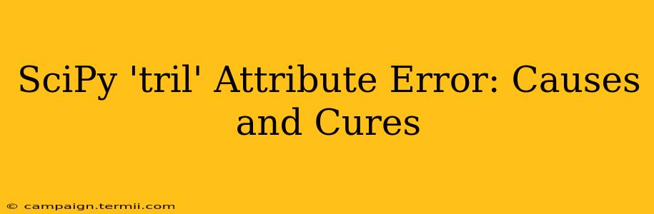 SciPy 'tril' Attribute Error: Causes and Cures