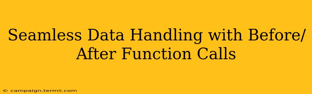 Seamless Data Handling with Before/After Function Calls