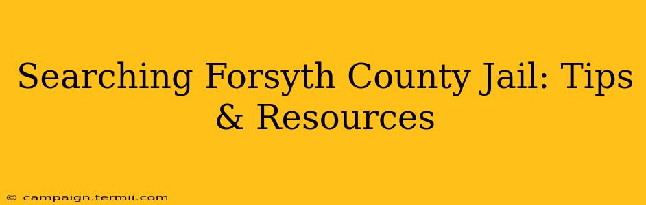 Searching Forsyth County Jail: Tips & Resources