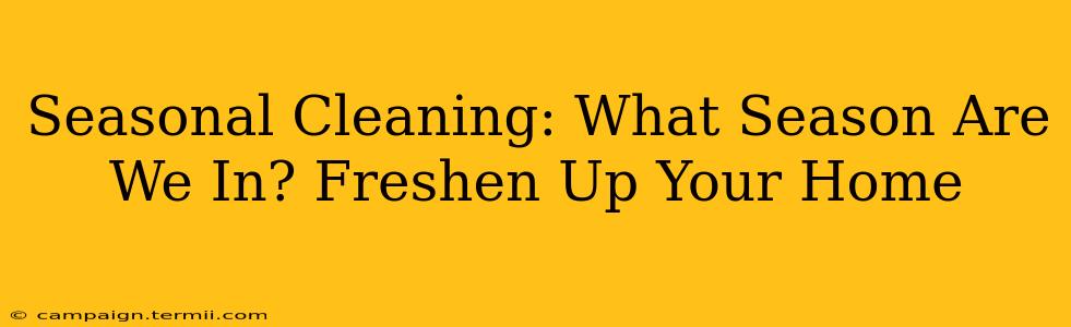 Seasonal Cleaning: What Season Are We In? Freshen Up Your Home