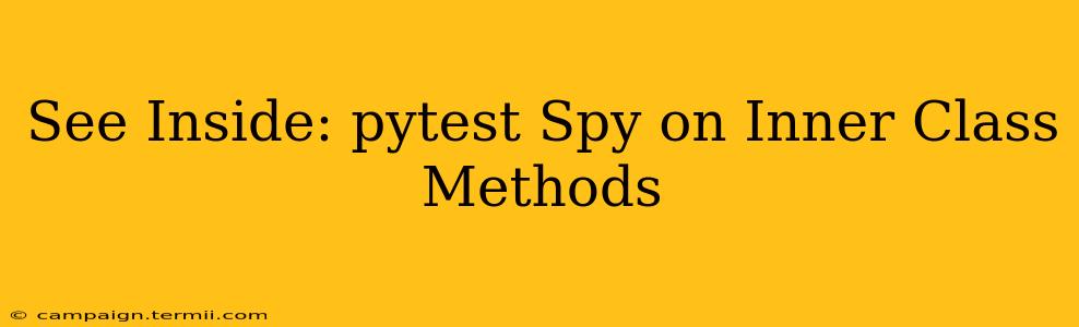 See Inside: pytest Spy on Inner Class Methods