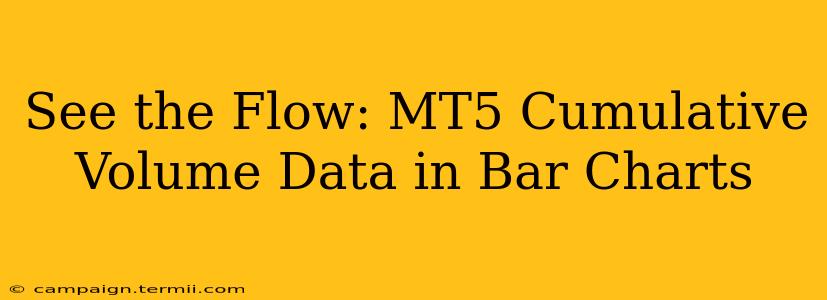 See the Flow: MT5 Cumulative Volume Data in Bar Charts