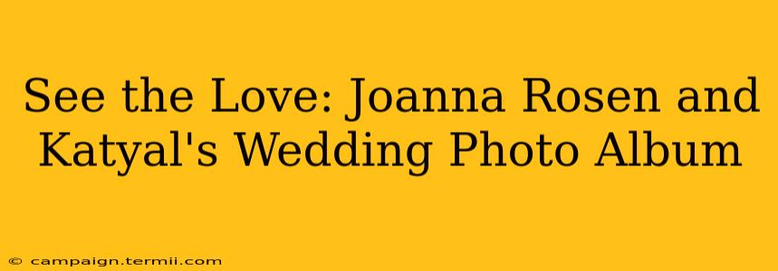 See the Love: Joanna Rosen and Katyal's Wedding Photo Album