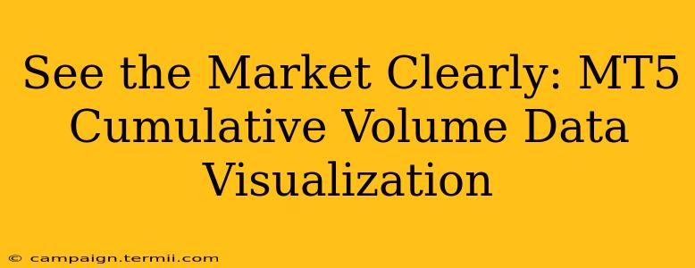 See the Market Clearly: MT5 Cumulative Volume Data Visualization